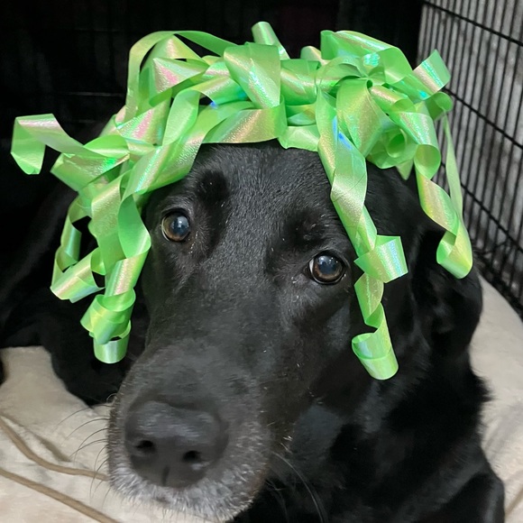 partyready